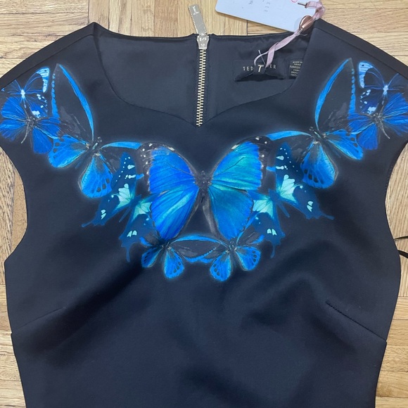 BNWT Ted baker dress size 0 - Picture 3 of 5